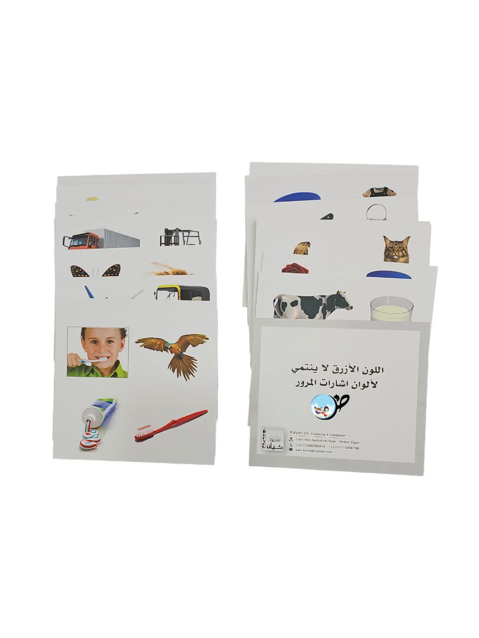 بطاقات ضمنية - من لا ينتمي