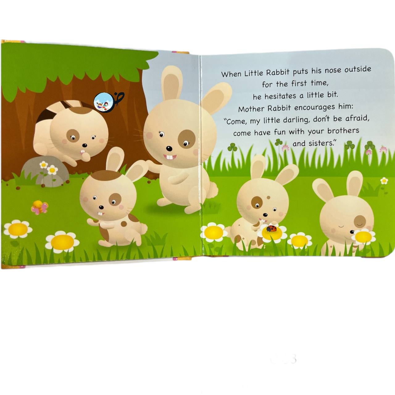 My little darling- Rabbit