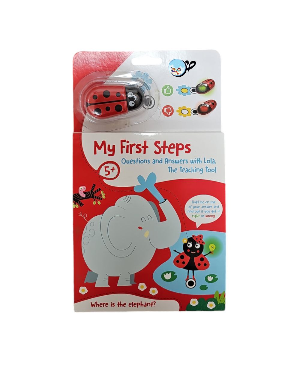 My First Steps 5+