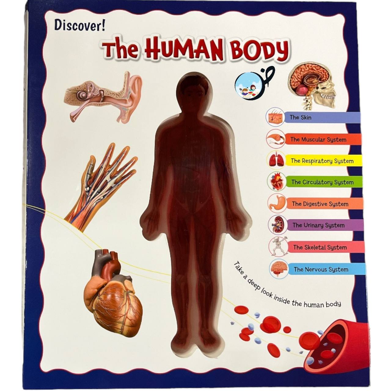 The HUMAN BODY