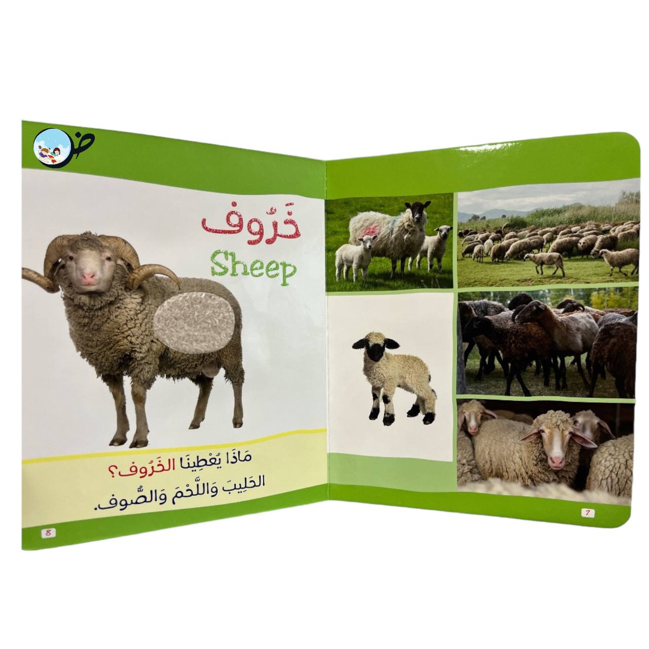 الحيوانات باللمس- كتاب مونتيسوري الأول